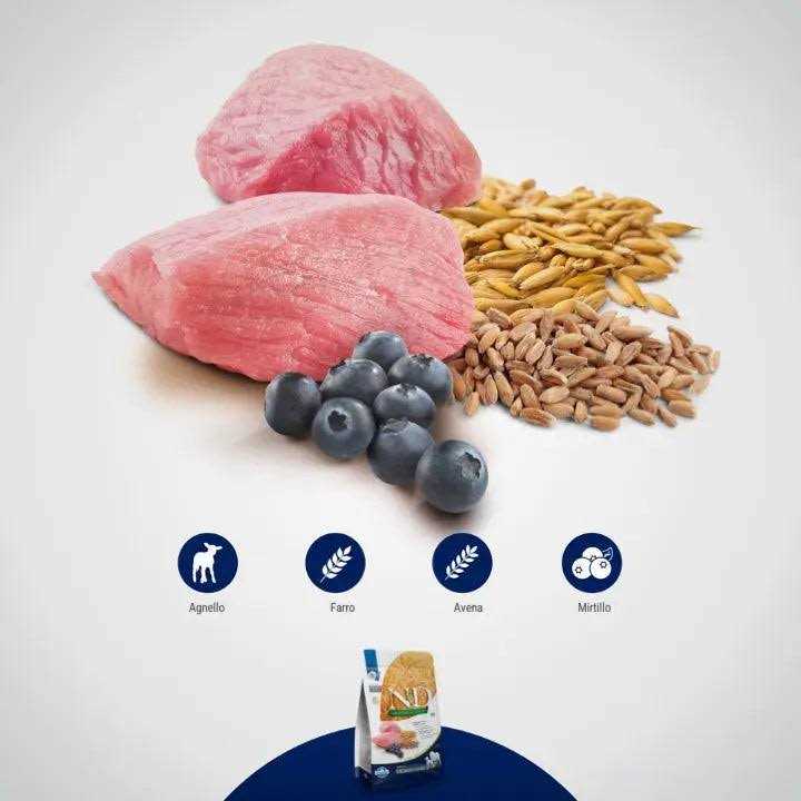 Farmina N&D Ancestral Grain Lamb & Blueberry Mini Adult Dry Dog Food Q652