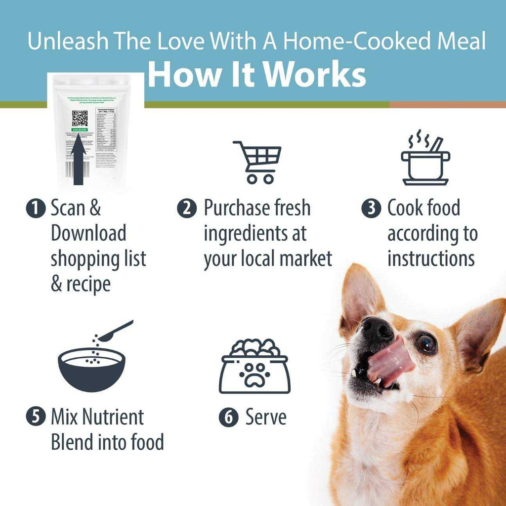 DIY Nutrient Blend Dog Food P143272