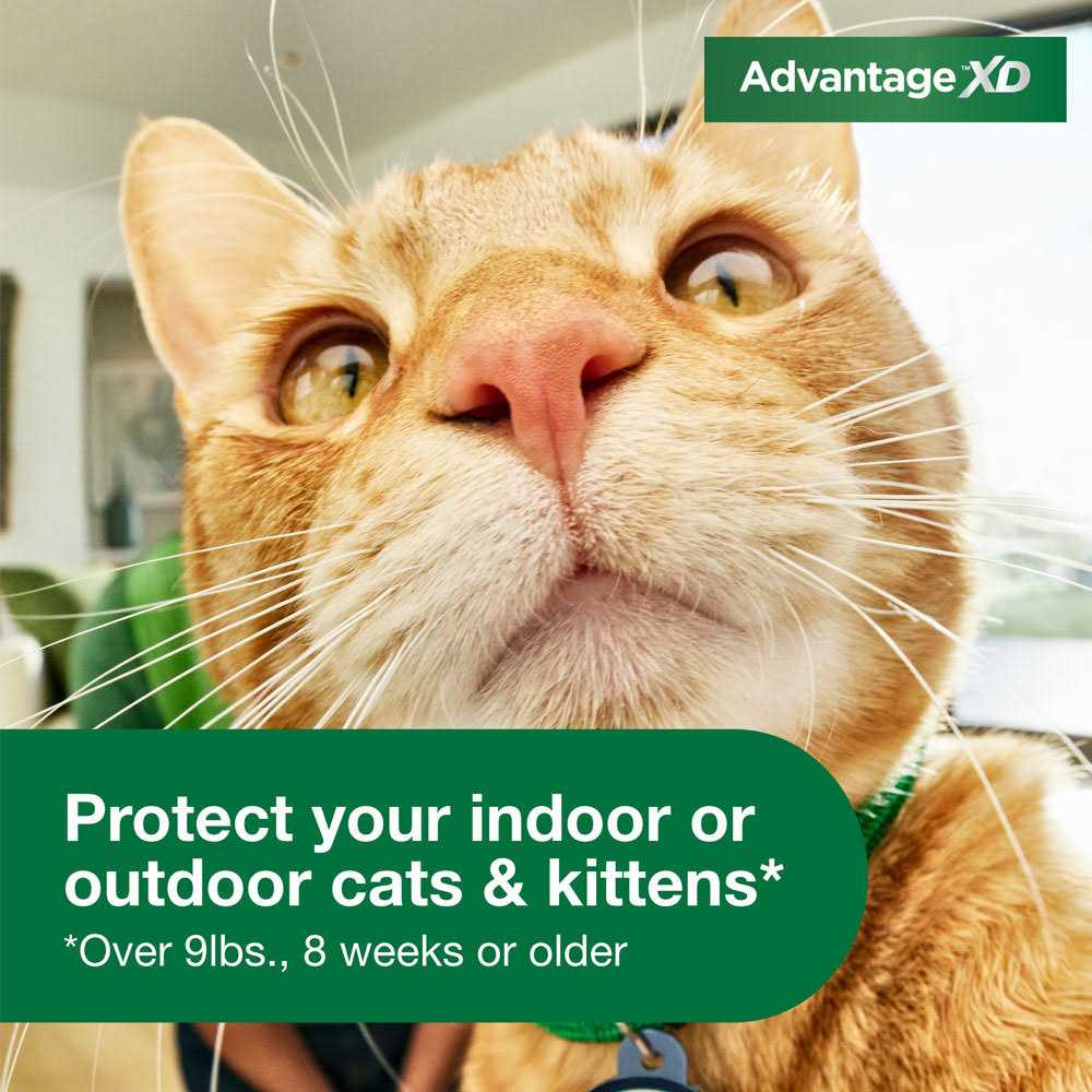 Cat Flea Prevention & Treatment N997