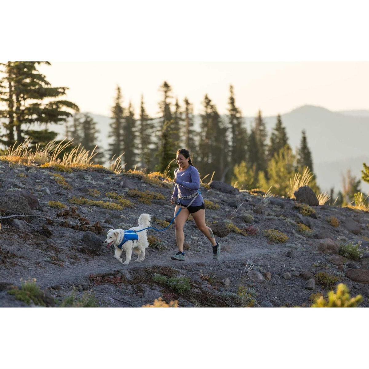 Trail Runner Belt S40476
