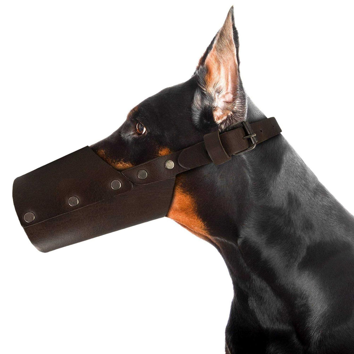 Leather Dog Muzzle G4821