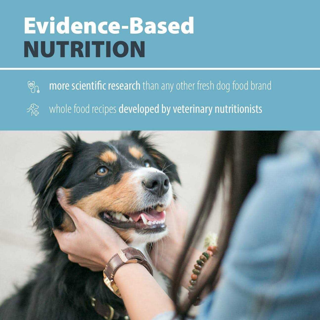 Frozen Dog Food O28869
