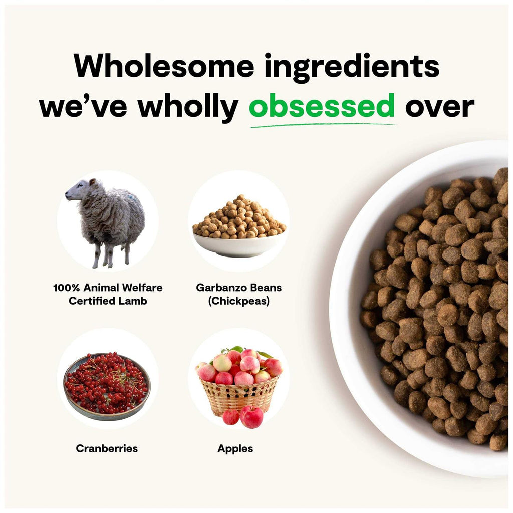 Grain-Free Pasture Raised Lamb Dry Dog Food H9168