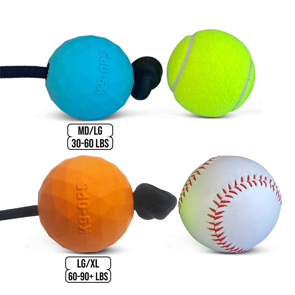 Solid Rubber Dog Ball on a Rope Tug Toy L6979