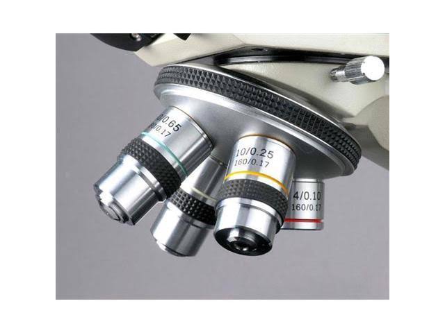 Binocular Microscope + 5MP Camera A532517