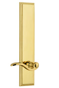 Polished Brass Lever T646291
