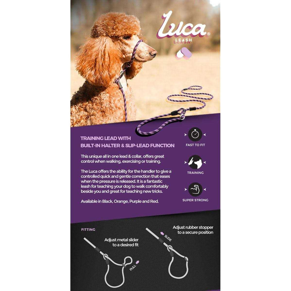Slip Collar Dog Leash L14339