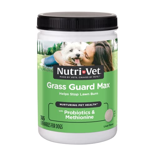 Chewables For Dogs 365 Count R5297