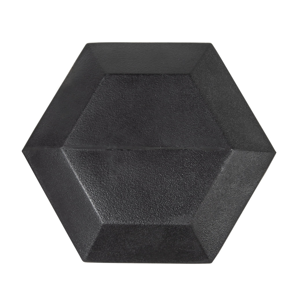 25lb Rubber Hex Dumbbell T8596