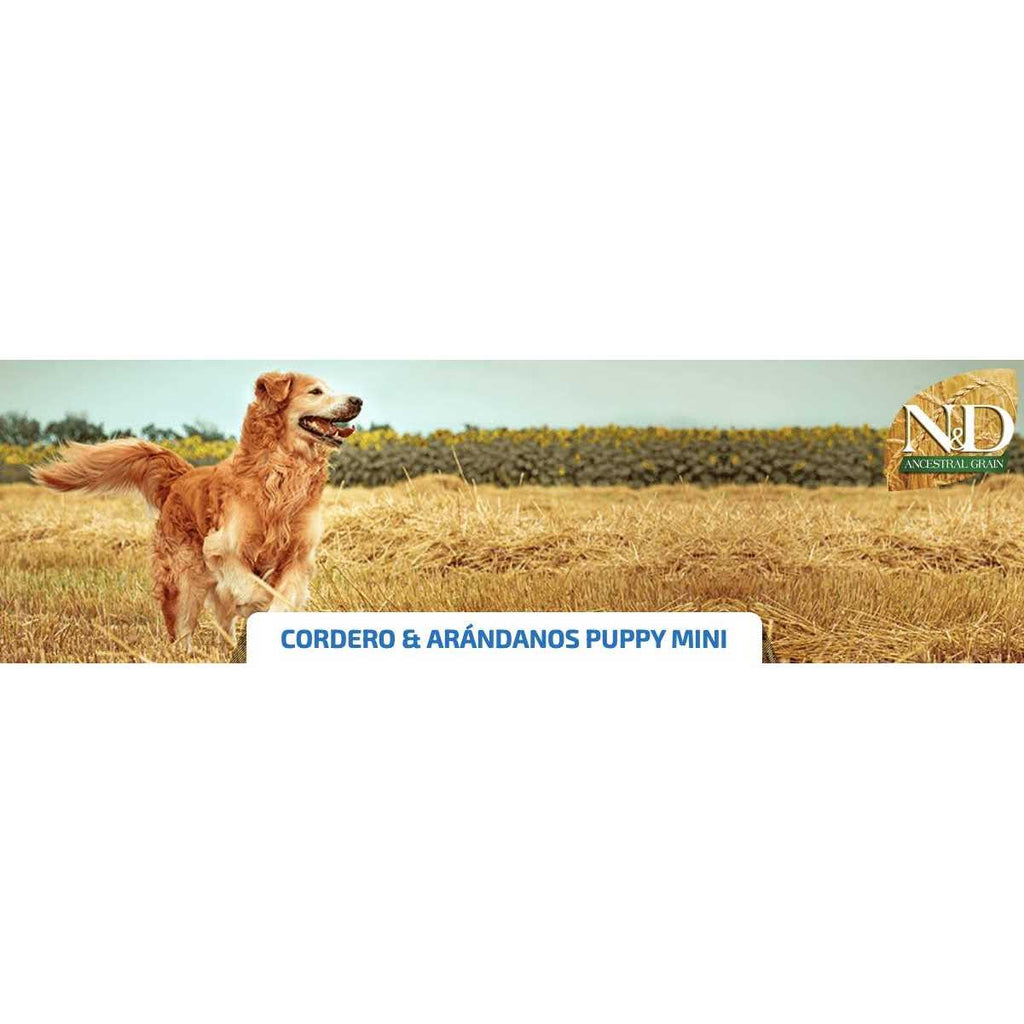 Farmina N&D Ancestral Grain Lamb & Blueberry Mini Adult Dry Dog Food Q652