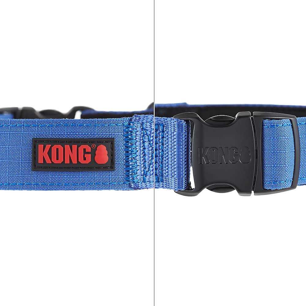 Padded Dog Collar W567932