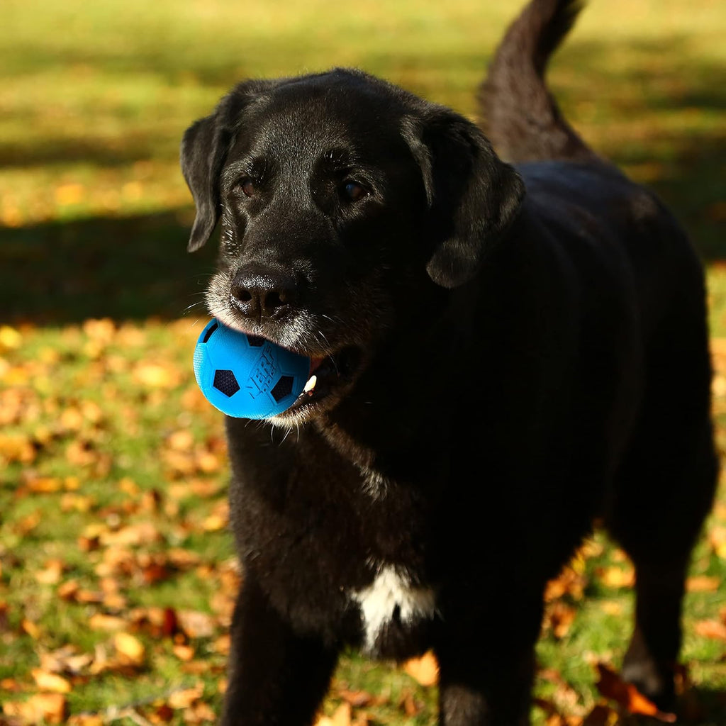 Blue and Green 3 Inch Dog Soccer Ball Toy Two Pack I7407