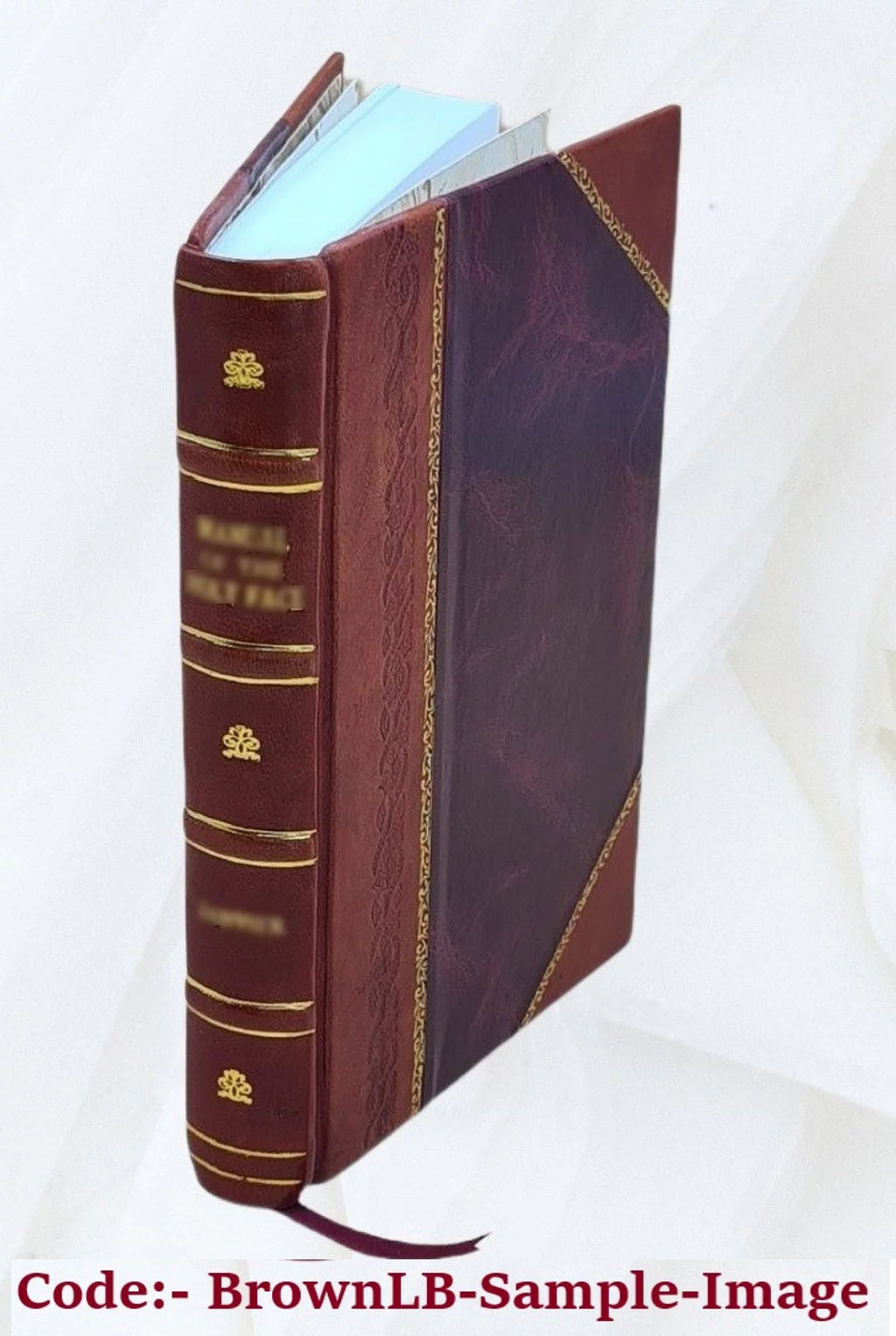 Guide pratique des villes d'eaux 1910 Leather Bound O8441