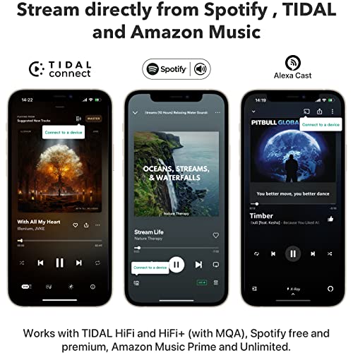 Wireless Audio Streamer X298262