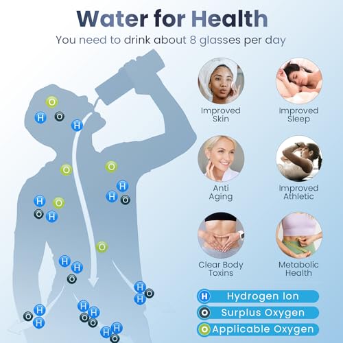 Silver Hydrogen Water Bottle Y423127