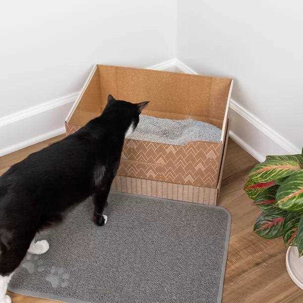 Recyclable Cat Litter Box with Clay Litter A1722