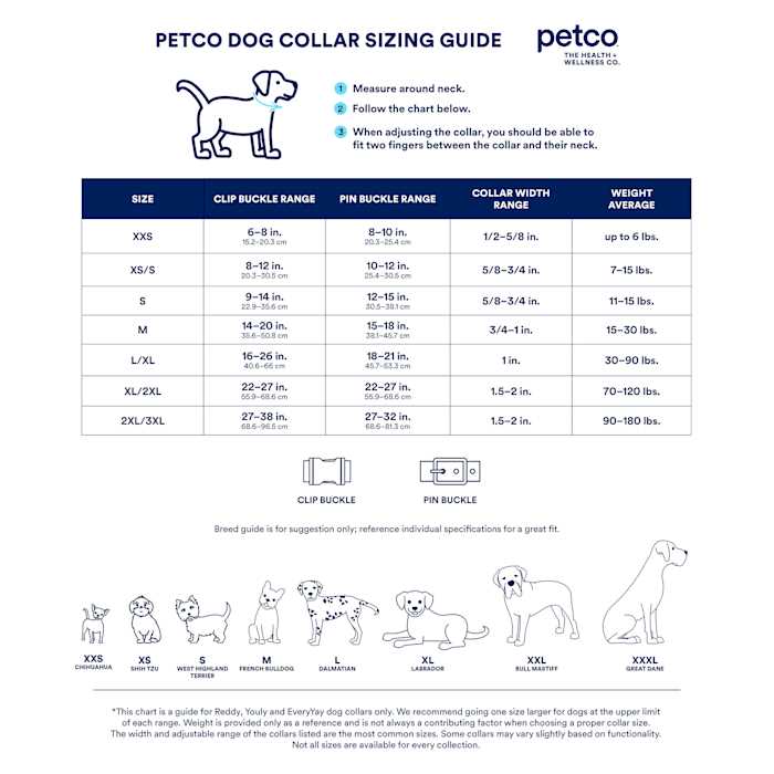 Training Dog Collar B90630