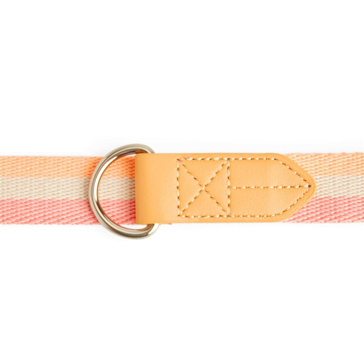 Dog Leash F617789