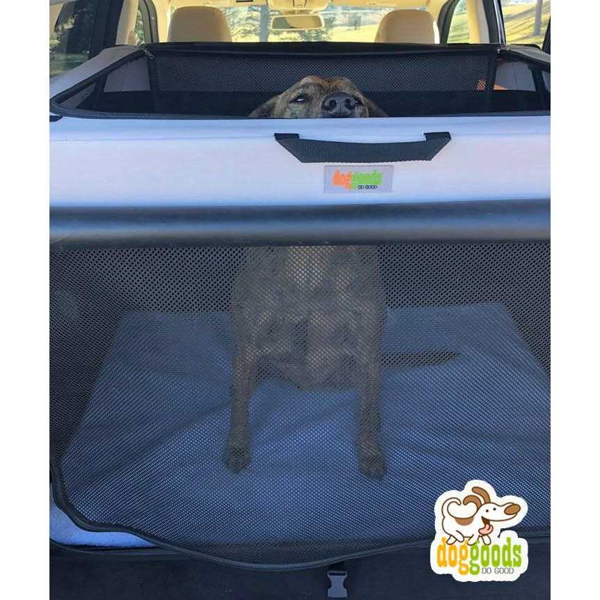 Foldable Travel Dog Crate U7546
