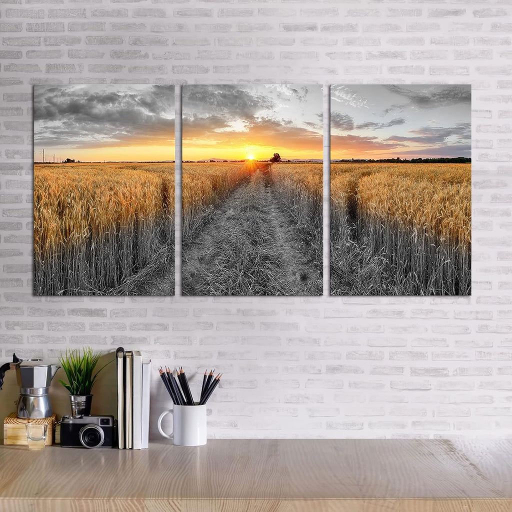 3 Pieces Golden Wheat Field Texas Sunset Canvas Wall Art Z414