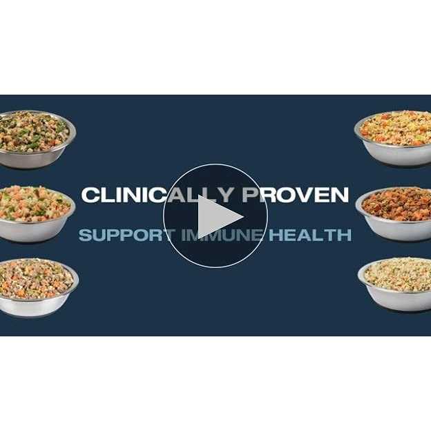 Frozen Dog Food O28869