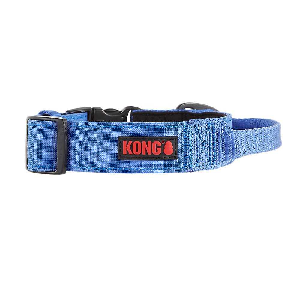 Padded Dog Collar W567932