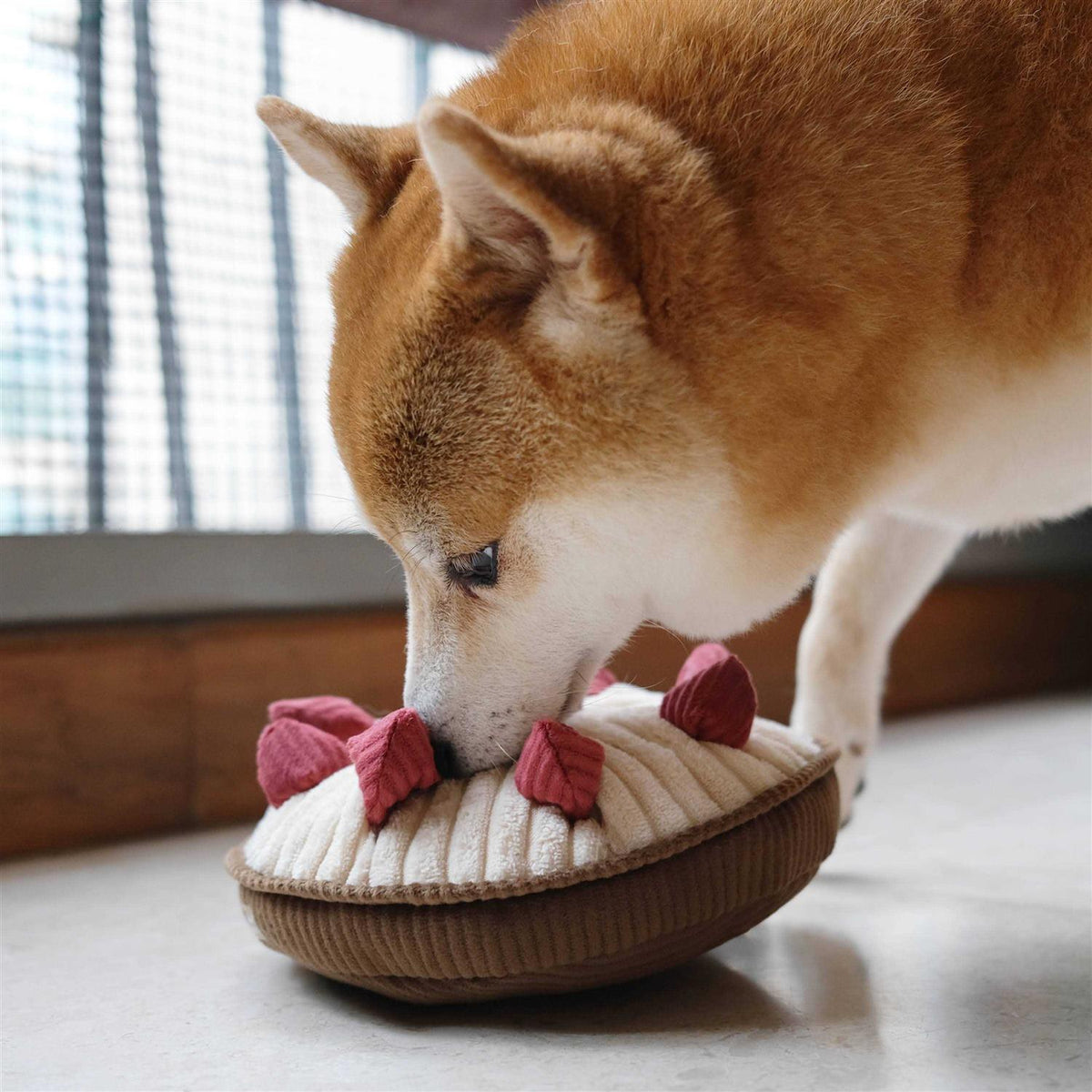 Enrichment Dog Toy N346