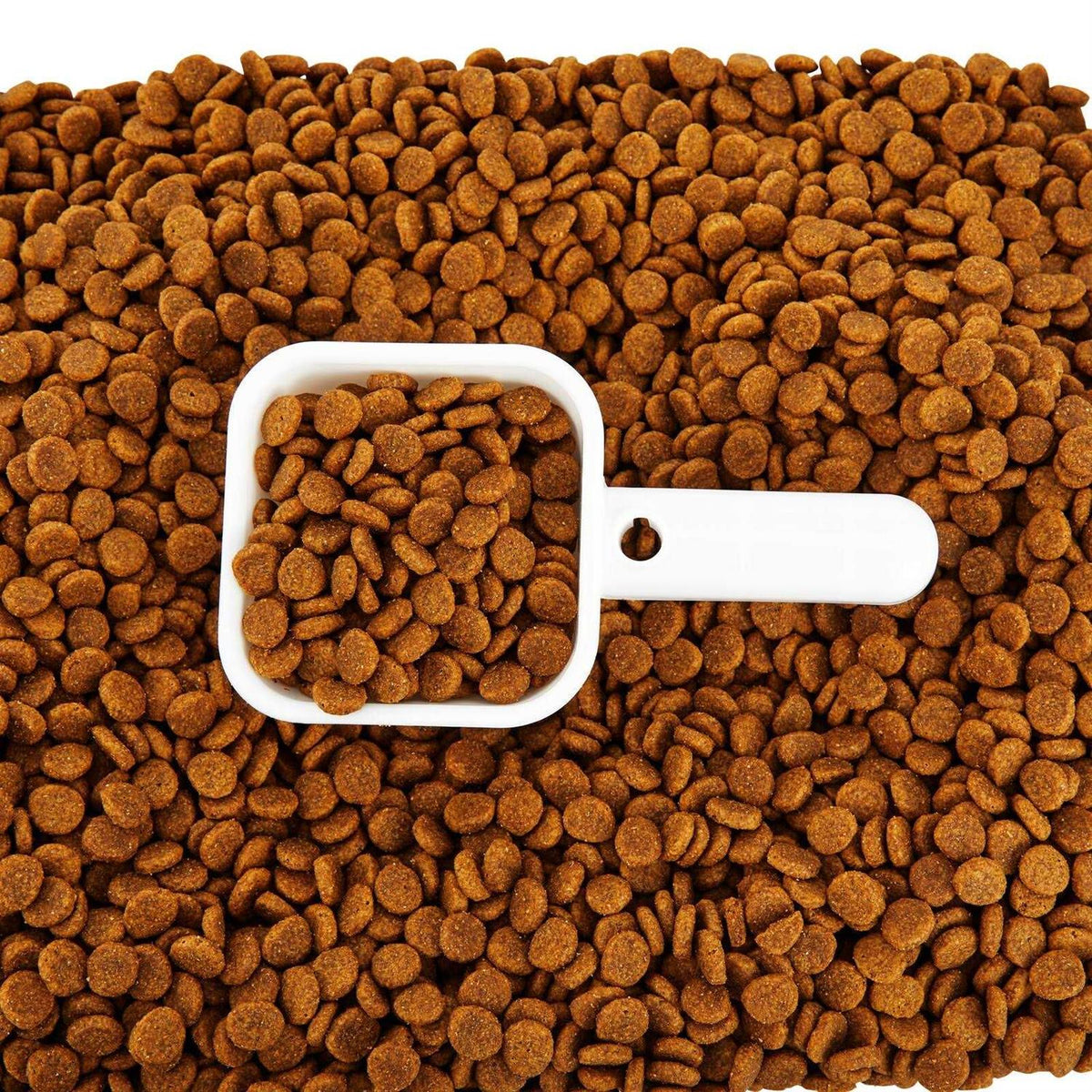 Food Storage F4951