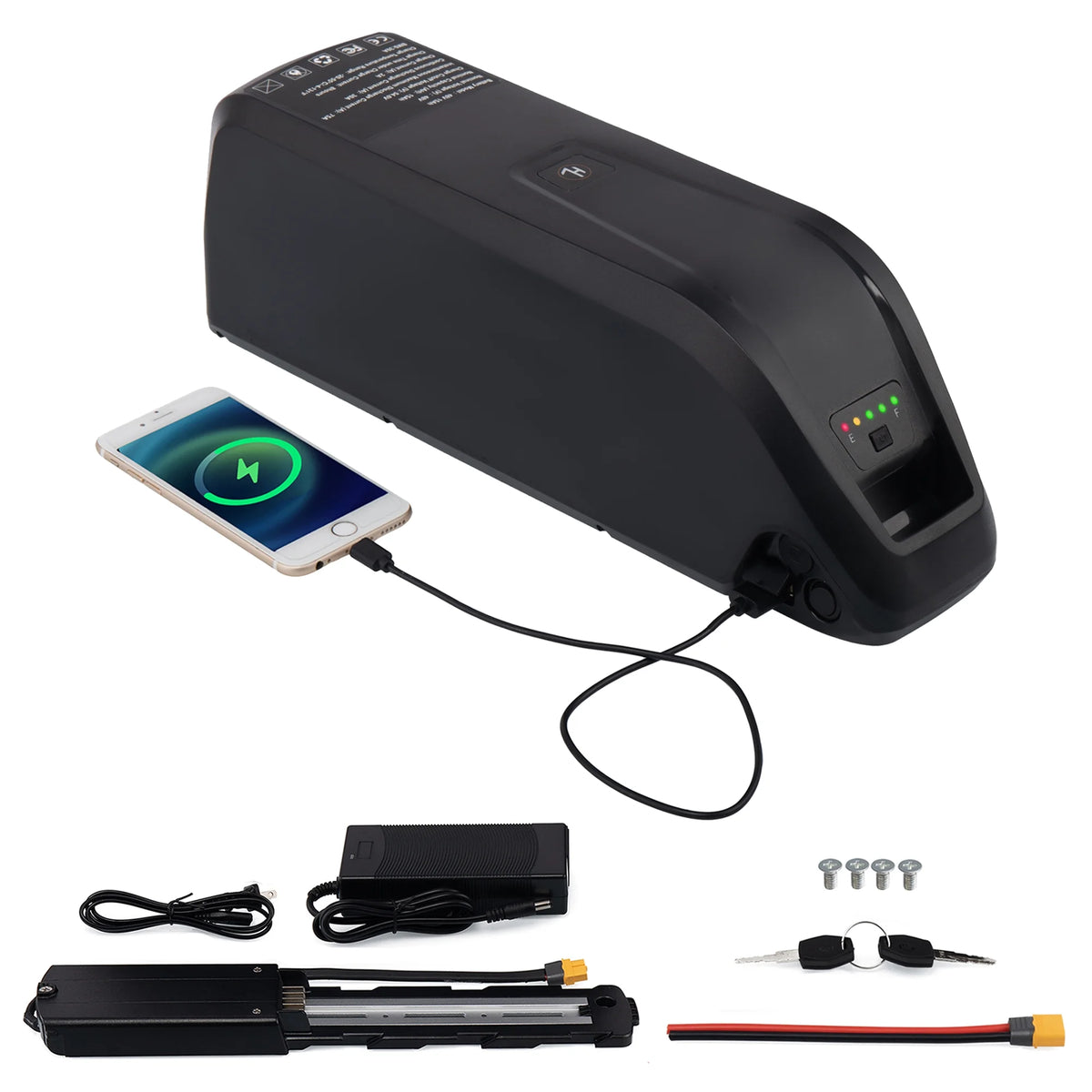48V 20AH Lithium Ebike Battery with Charger S979932