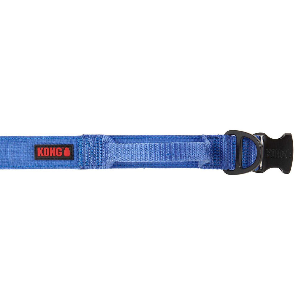 Padded Dog Collar W567932