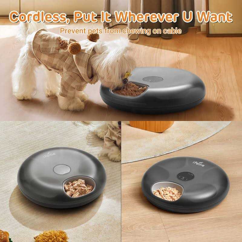 Automatic Pet Feeder L832