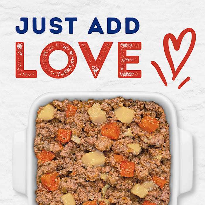 Tender Beef & Potato Recipe Wet Dog Food C792008