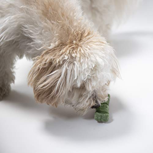 Coconut Mint Flavor 14 Count Dental Treats M922