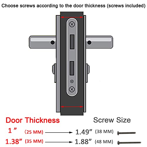 Brushed Polished Brass Lever Handle Set for Screen & Storm Doors G177150