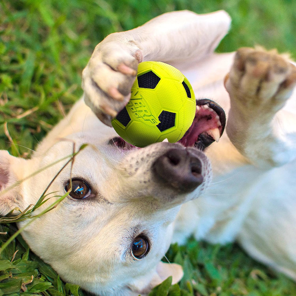 Blue and Green 3 Inch Dog Soccer Ball Toy Two Pack I7407