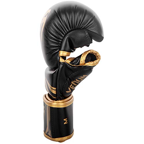 Sparring Gloves P750