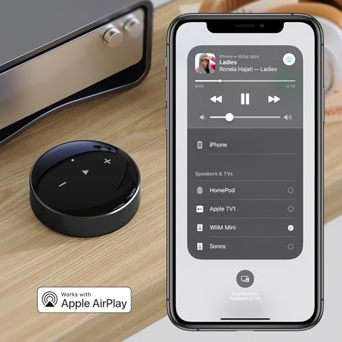 Wireless Audio Streamer X298262