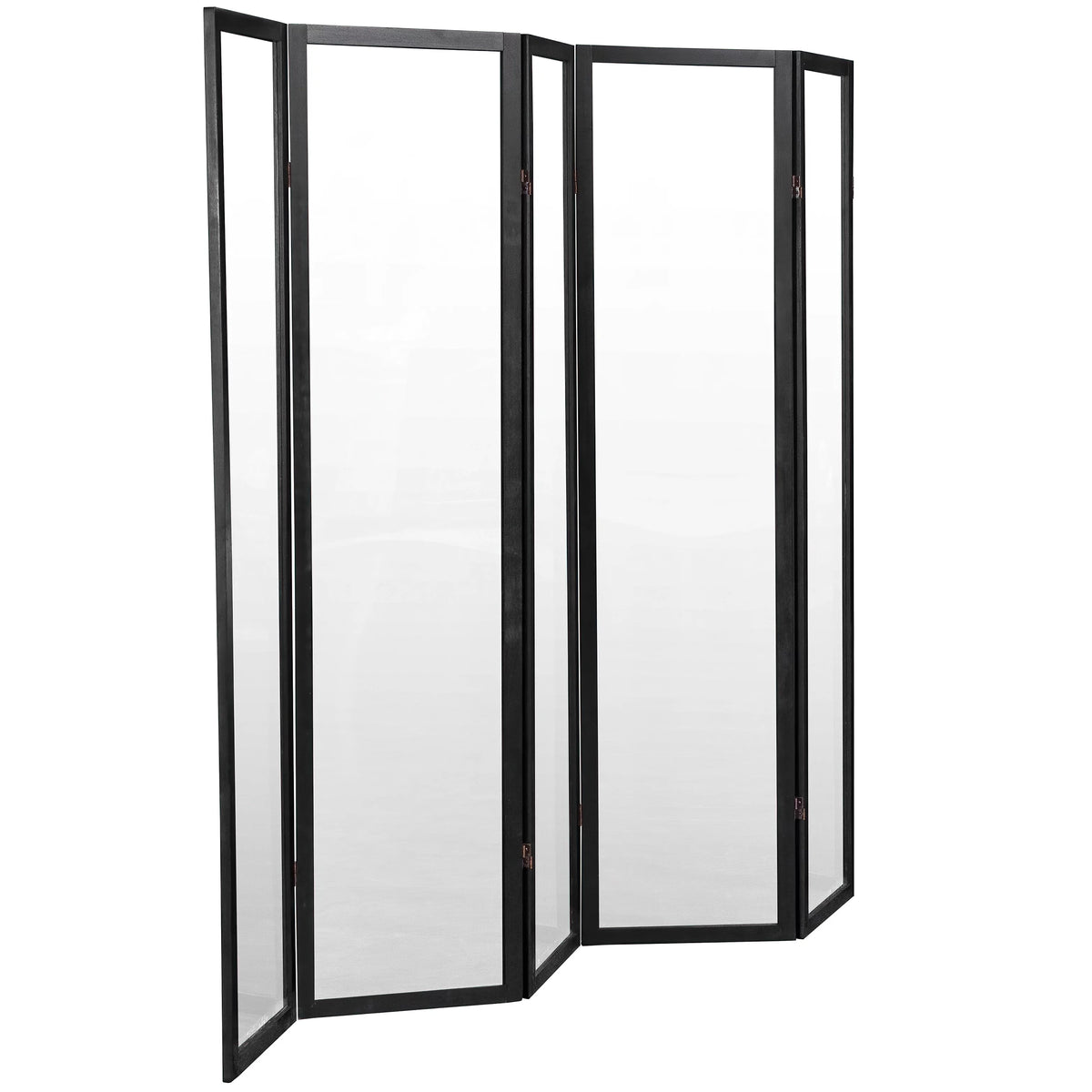 6 ft. Tall Black 5 Panel Screen D677661
