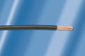 Hook-Up Wire 1000 ft F3982