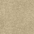 Ivory 18 x 18 Level Loop Carpet Tile Q711896