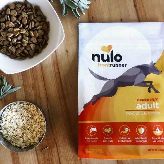 Turkey Dry Dog Food B5509