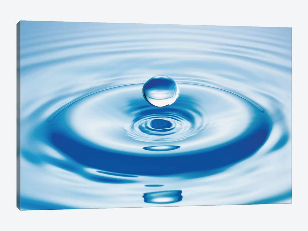 Canvas Wall Decor Prints F88675