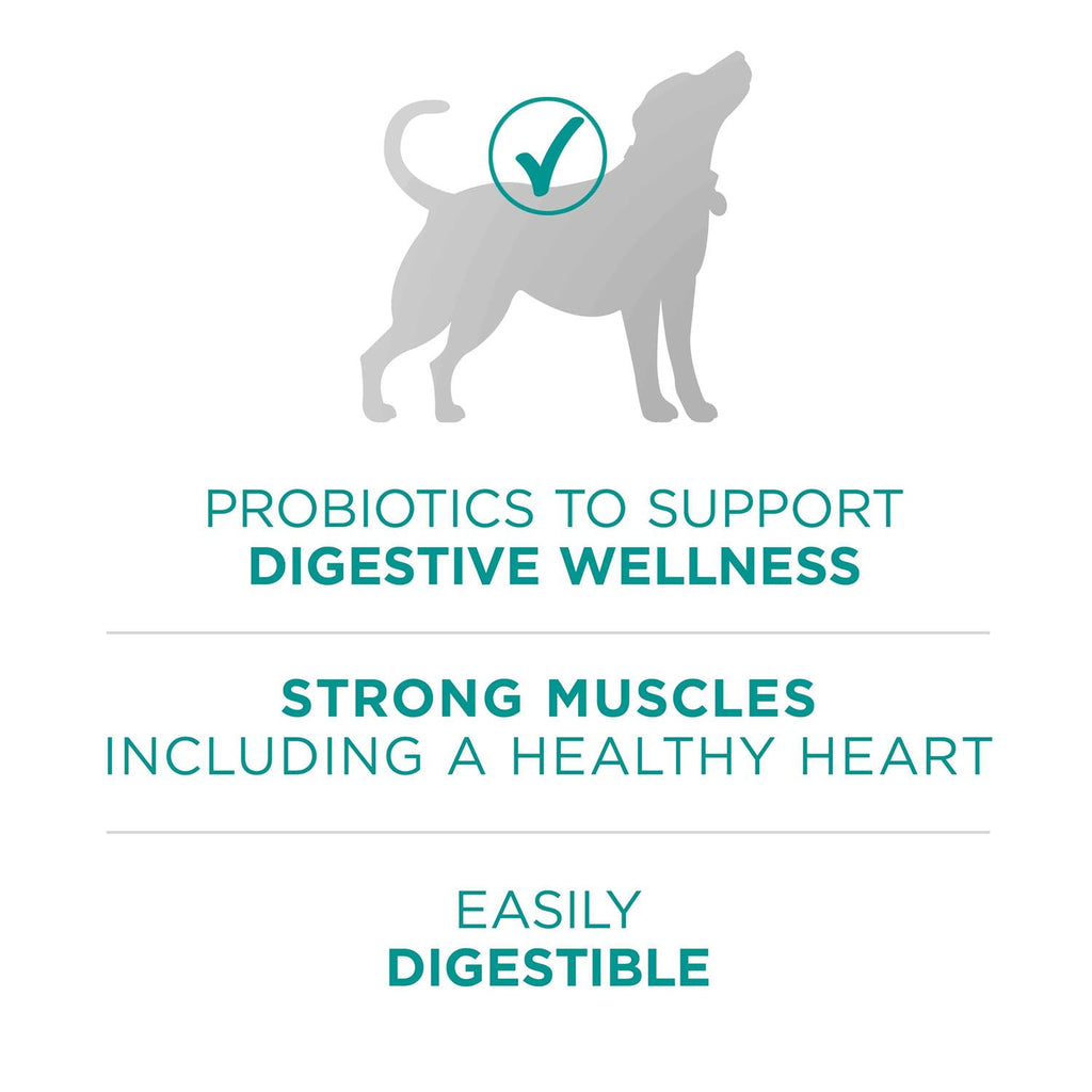 Dry Dog Food V65586