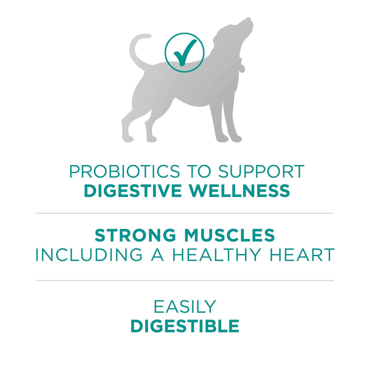 Dry Dog Food V65586