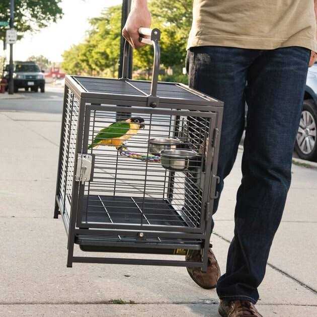 Pet Travel Carrier L64104