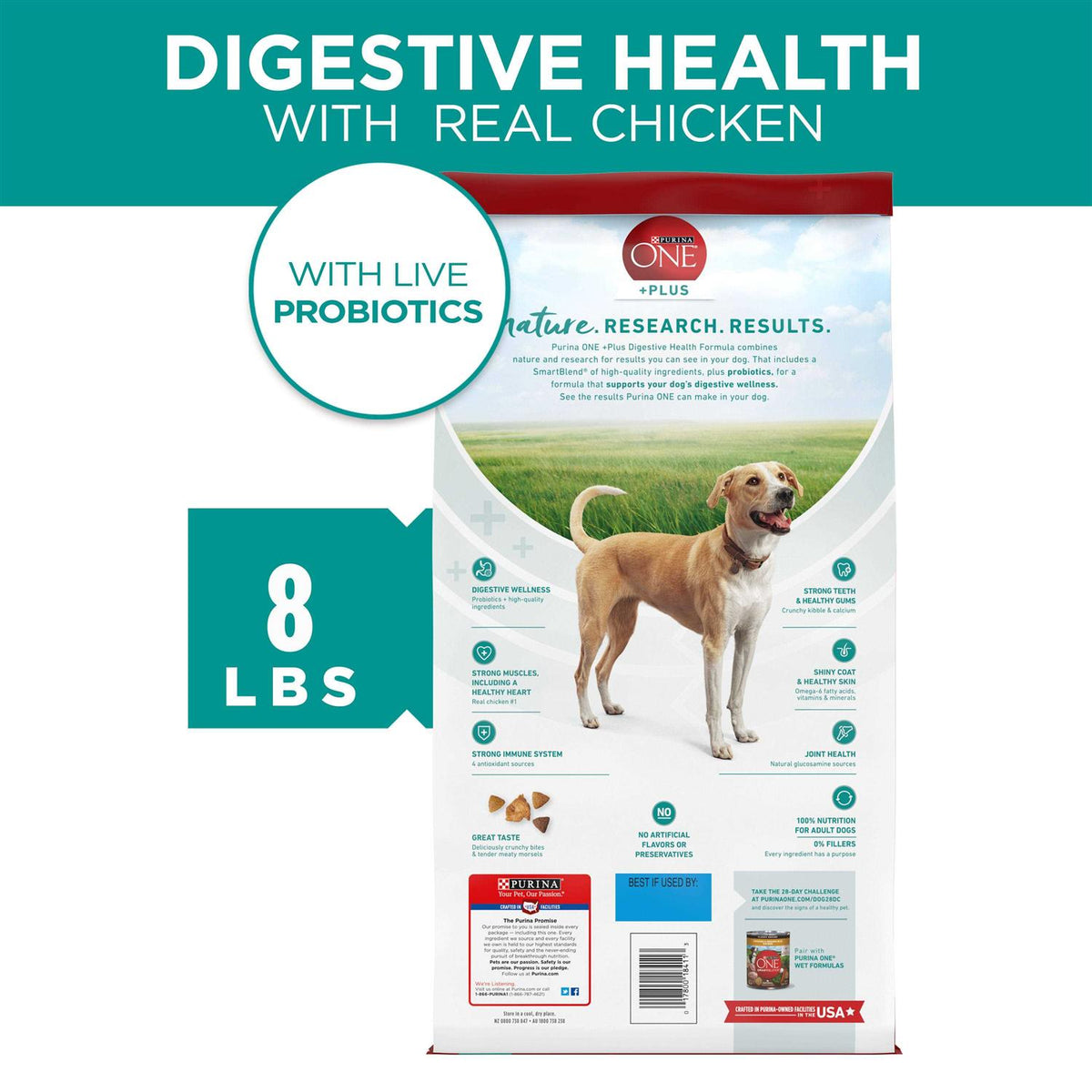 Dry Dog Food V65586