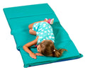 Teal-Blue 4 Section 2 in. Thick Infection Control Mat 5 Pack C838