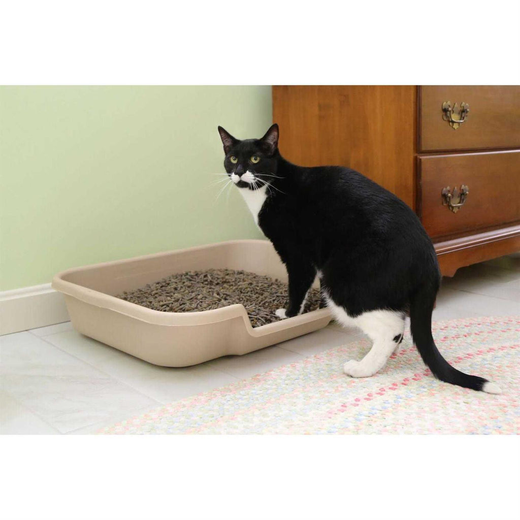 Senior Cat Litter Box C39985
