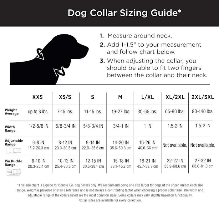 Dog Leash F617789