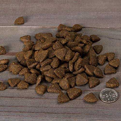 Grain-Free Trout & Sweet Potato Dry Dog Food U3718